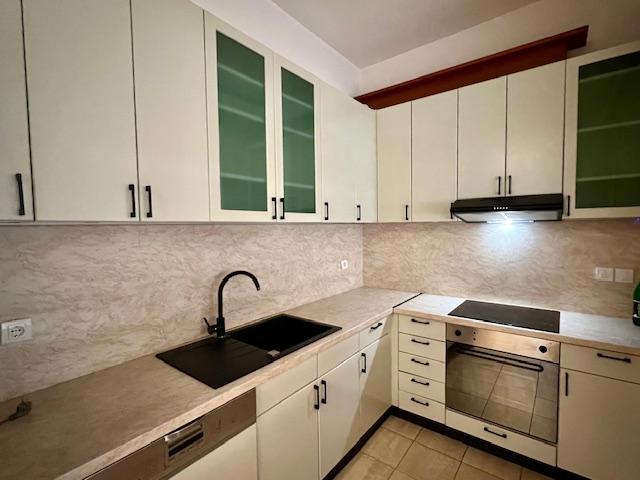 Dedinje, vertikala kuće za izdavanje ID#2541