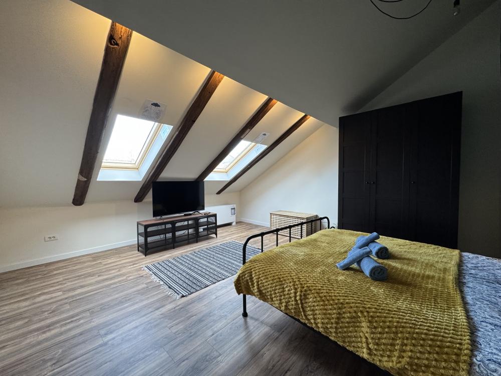 Moderan dizajnerski stan – Glavna, Zemun ID#2570